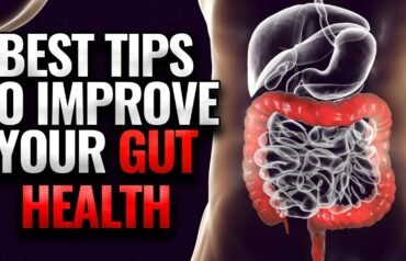 How to Improve Gut Health