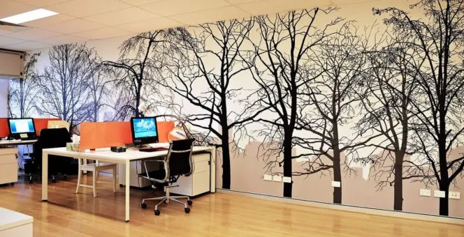 Incorporate Bold, Graphic Patterns