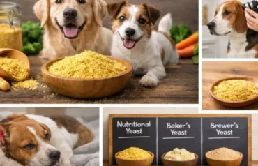 can dogs have nutritional yeast